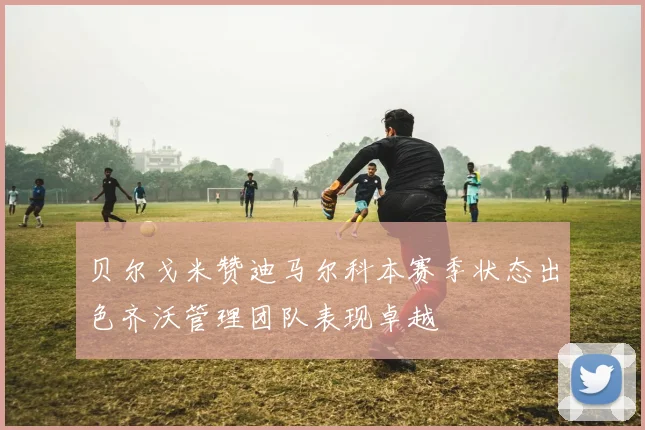 贝尔戈米赞迪马尔科本赛季状态出色齐沃管理团队表现卓越